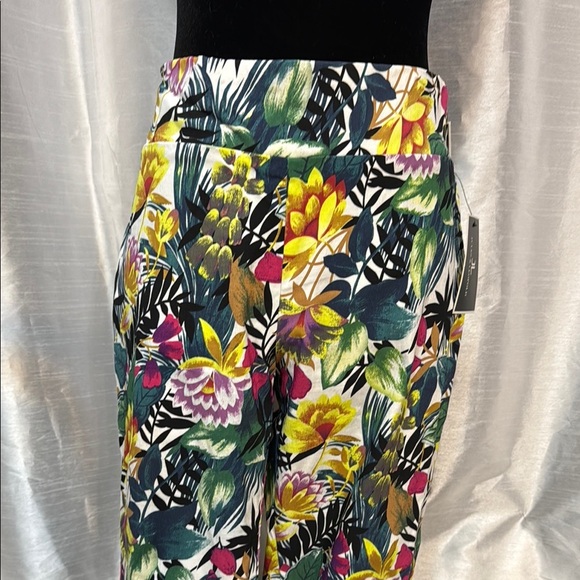 Jules & Leopold Tropical Pull On Slim Leg Ankle Length NWT Women’s L Stretch - Picture 1 of 8
